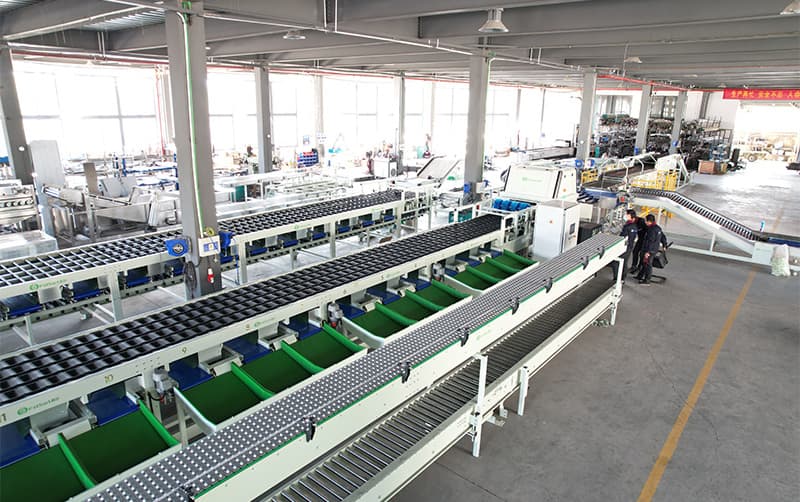 images/1688629751939mango color grading machine.jpg